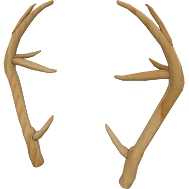 Antlers